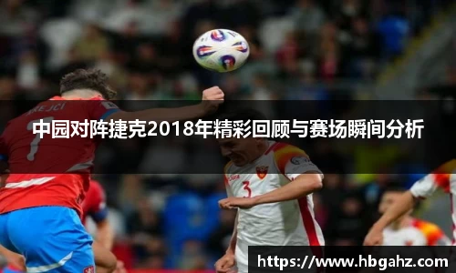 乐鱼